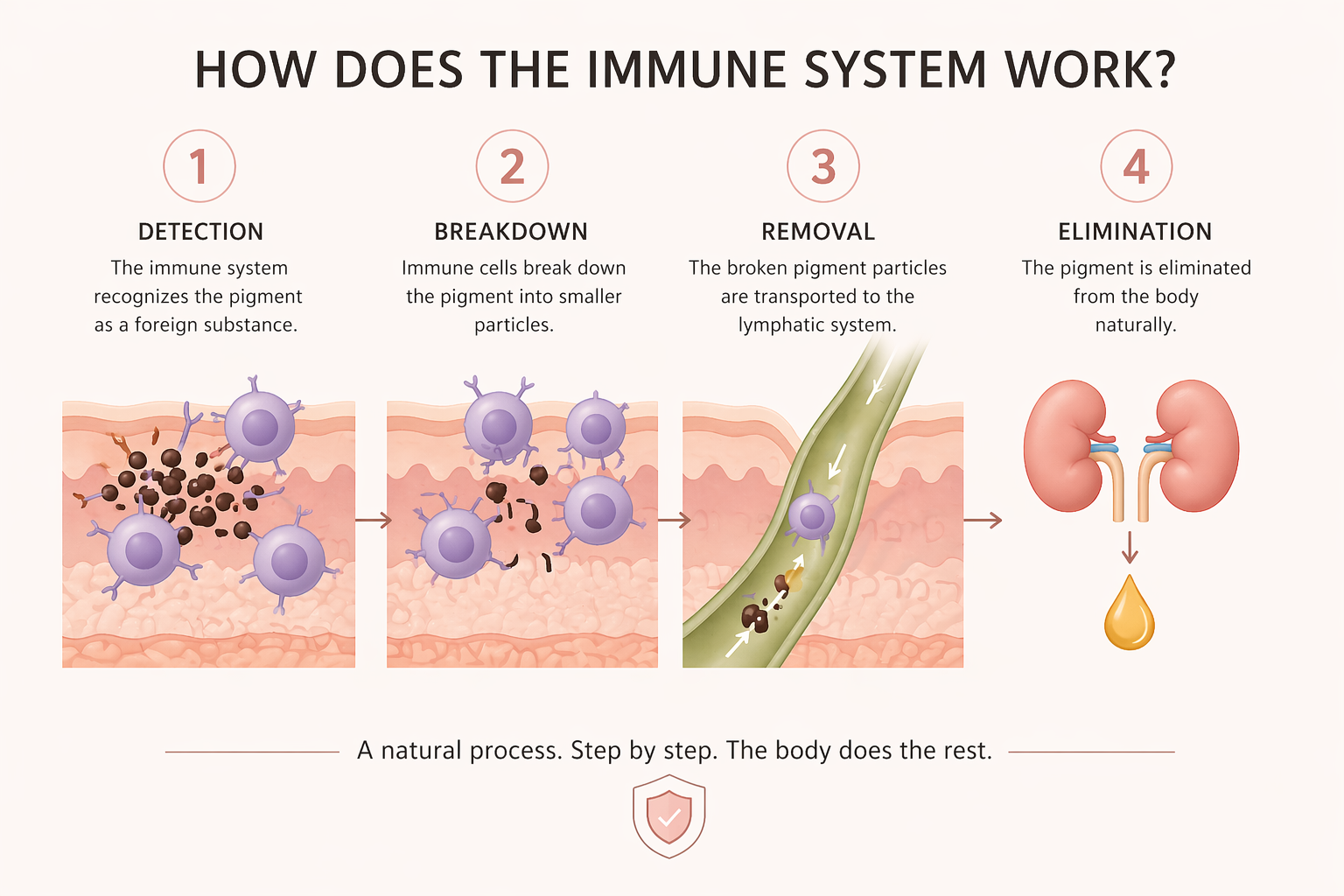 immune-system-tattoo-removal