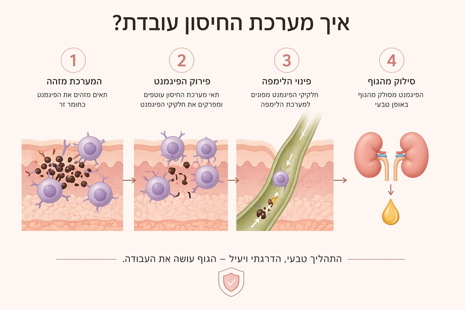 immunesystempigment